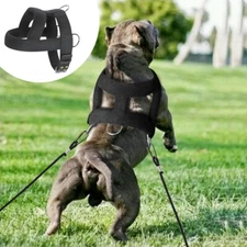 Strong Dog Weight Pulling Training Harness Vest Heavy Duty Rottweiler Pit Bull