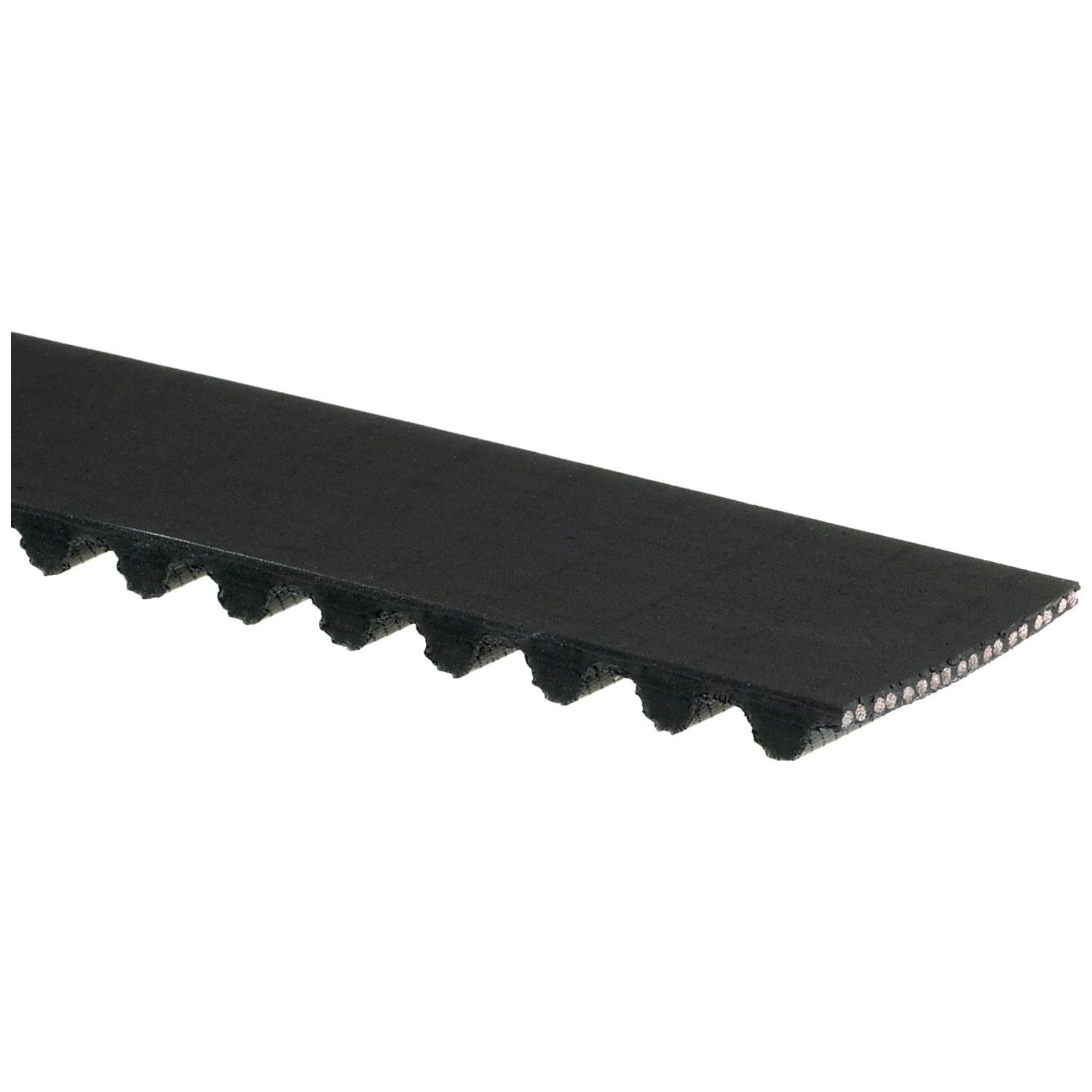 Gates T244 Premium Automotive Timing Belt For 94-02 Accord CL Oasis Odyssey