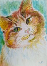 ACEO cat watercolor pencil by the author original 3,5