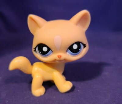 Littlest Pet Shop - Chat Maine Coon #1537 - Hasbro - Occasion