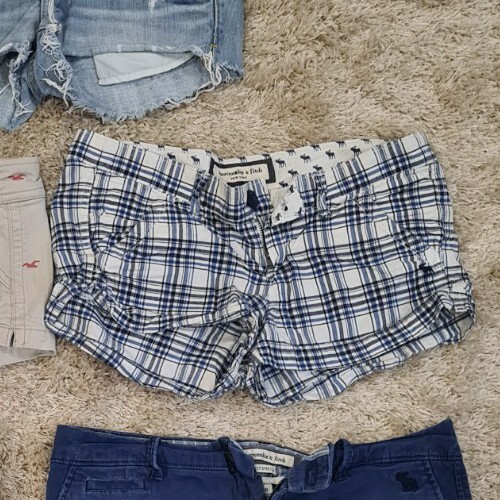Abercrombie Fitch Womens Blue and White Plaid Shorts Size 00