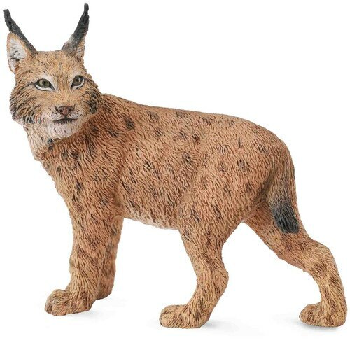 CollectA Lynx - Picture 1 of 1