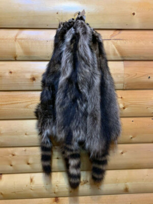 Raccoon Fur, Tanned Pelt, I-II Quality, LG-XXXL Sizes, Crafts, Leather, Sewing