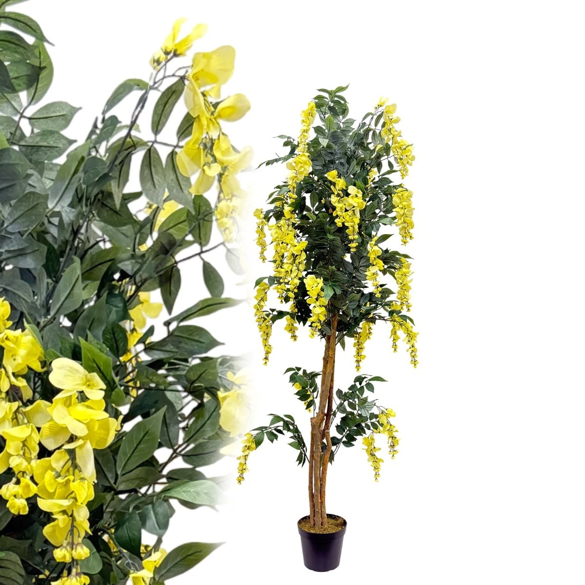 bio erde zimmerpflanzen GRATIS Bio Blumen- & Zimmerpflanzenerde 10L – Green Me Up