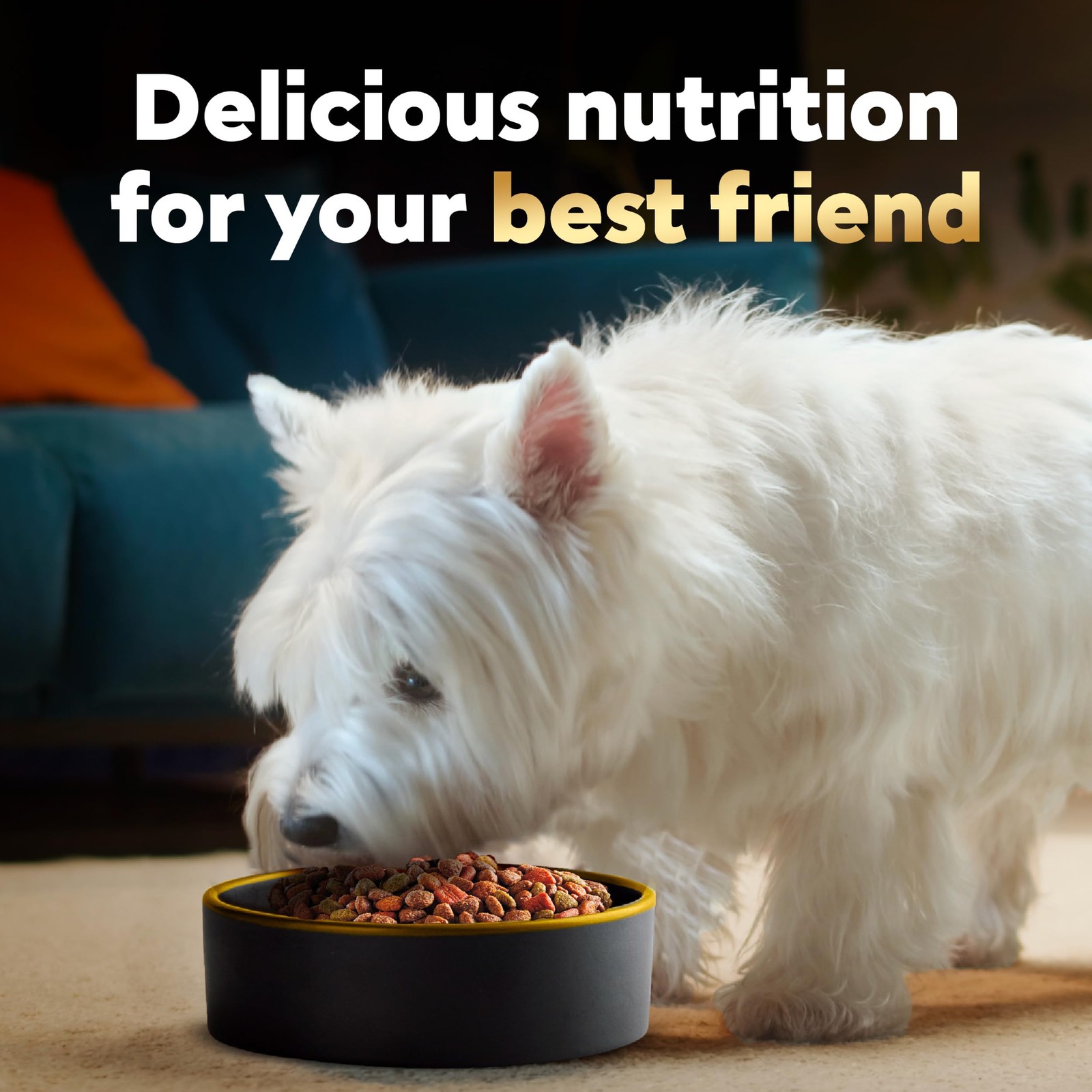 Cesar Small Breed Dry Dog Food Filet Mignon Flavor and Spring Vegetables Garn...