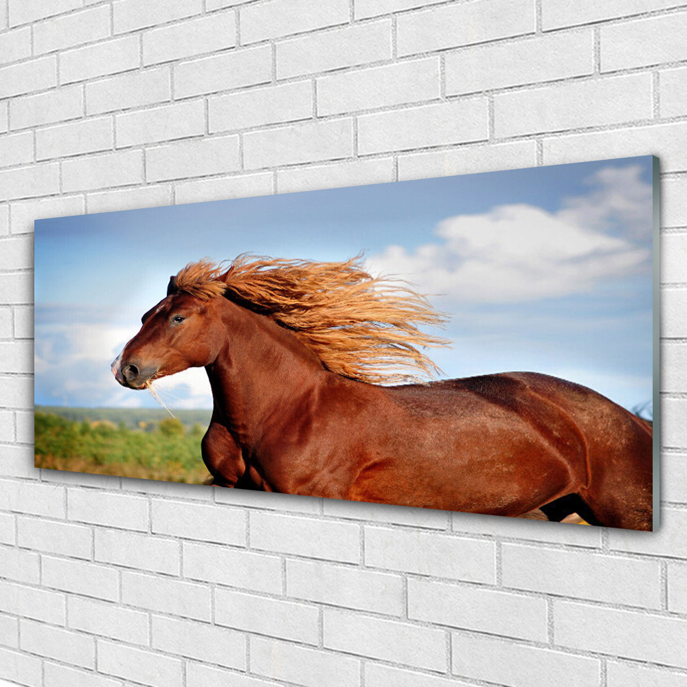 Tableau mural Plexiglas Animaux Cheval 125x50 pour habiller un grand mur