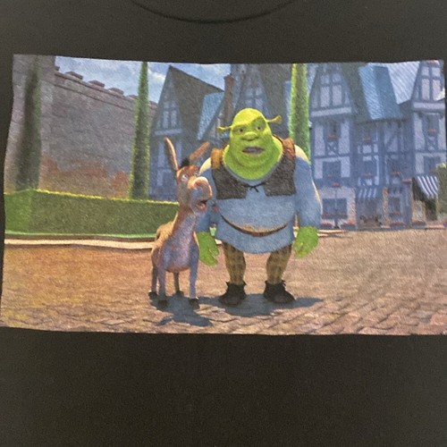 Dreamworks SHREK Kids Graphic Movie Donkey Funny Animated Tee T-Shirt - Boy S - Picture 2 of 3