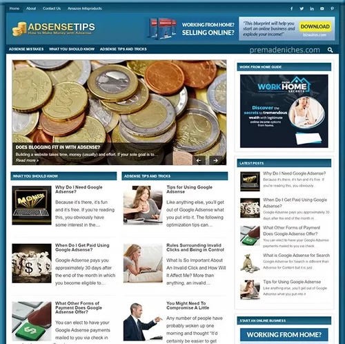 Ready Made Adsense Marketing Blog Turnkey Niche Website Business For Sale