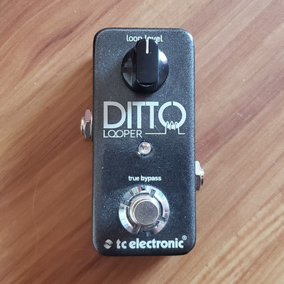 TC Electronic Ditto Looper Digital Looper Pedal for Electric Guitar