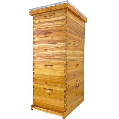 5-Layer Langstroth Beehive Kit, 100% Beeswax Coated Bee Hive with 2 Deep Breedin