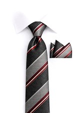Men's Charcoal, Silver  Burgundy Striped Paisley Necktie with Pocket Square