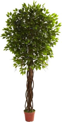 7.5ft. Ficus Tree UV Resistant (Indoor/Outdoor)