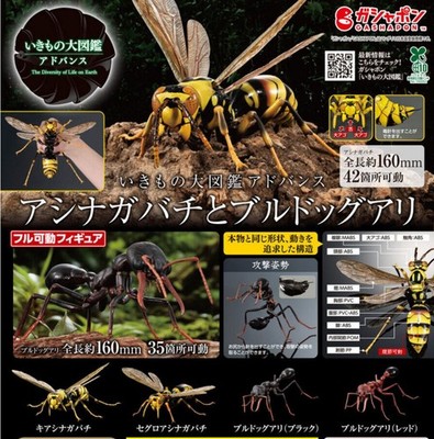 Bandai Ikimono Daizukan Advance Paper Wasp Bulldog Ant Figure Gashapon Japan