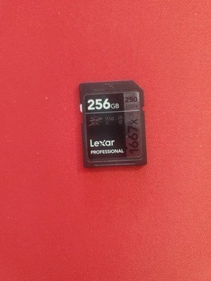 Lexar Professional 1667x 256gb SD Card