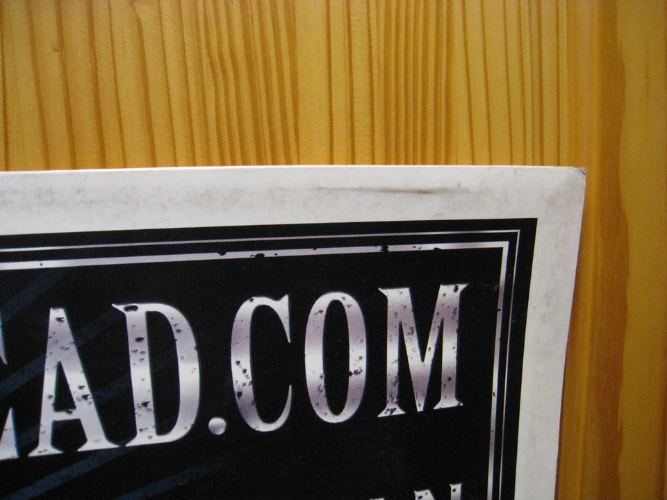 Serj Tankian System of a Down Poster Promo 2-sided - Image 2 of 3