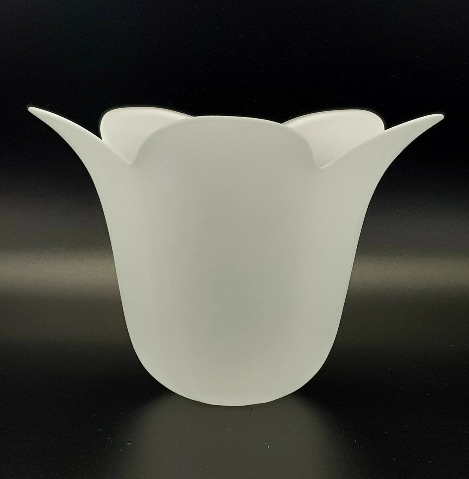 Vintage Frosted Glass Flower Shaped Vase