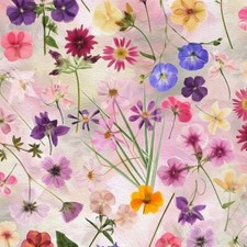 Hoffman Wildflowers V5250 12 Pink Flower Toss Cotton BTY