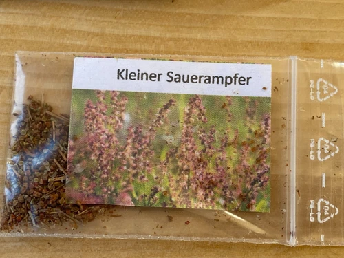 Kleiner Sauerampfer Samen für insektenfreundliche Wildblume