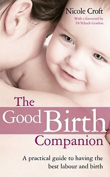 Good Birth Companion: A Practical Guide to Having t... | Buch | Zustand sehr gut