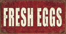 FRESH EGGS Chicken Poultry Country Farm Restaurant TIN SIGN Metal Poster