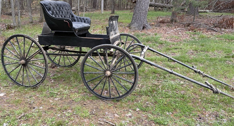 Traditional Horse Drawn Carriage with Harness and Black Upholstered Seat
