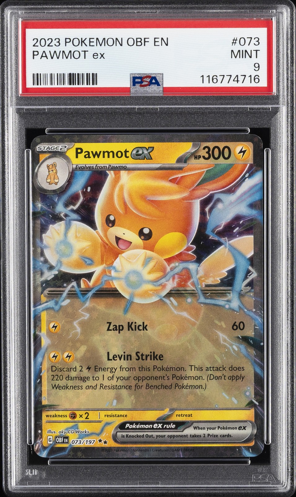 Pawmot ex #73