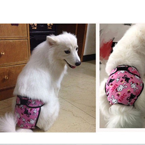 Haustier Hund Welpe Windelhose Windel physiologische Hygienehöschen Unterwäsche weiblich - Bild 11 von 14