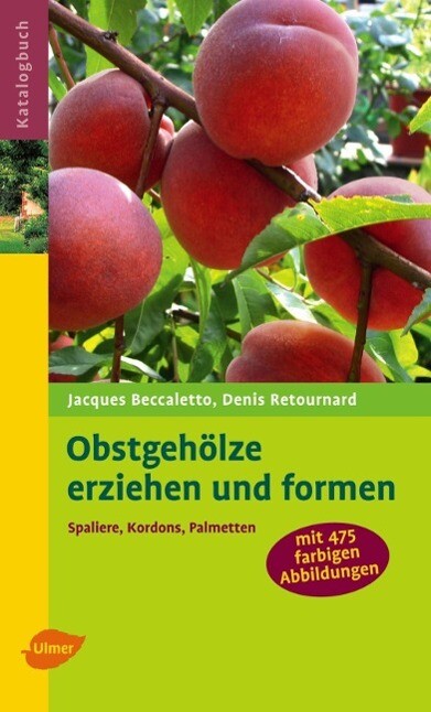 Thumbnail - Obstgehölze Erziehen Und Formen | Buch | 9783800153404