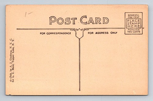 Adirondack Mountains NY-New York, Nach dem Sturm in Mts. Vintage Postkarte - Bild 2 von 2