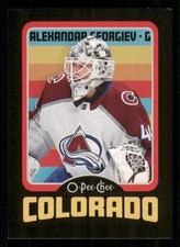 2024-25 O-Pee-Chee Retro Black #299 Alexandar Georgiev /100