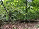 Bild 5 von 10