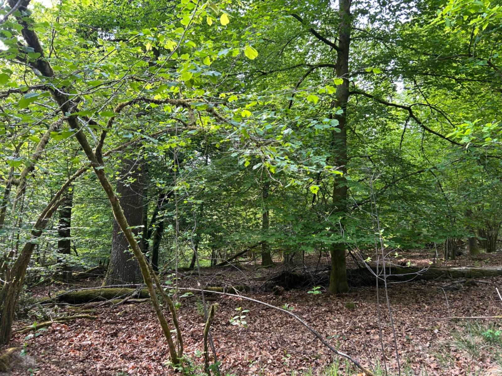 Bild 5 von 10