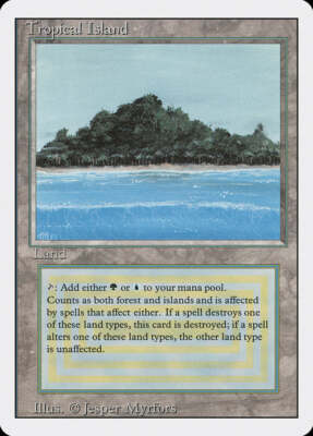 Magic: the Gathering MTG Tropical Island [Revised Edition] Graded