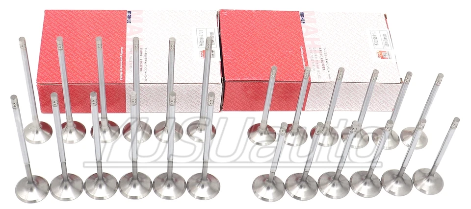 Впускные выпускные клапаны Mahle подходят для VW Touareg CC Passat R32 AUDI Q7 3.2 3.6 V6 - Изображение 2 из 4