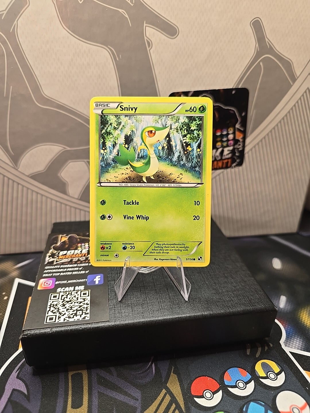 Snivy - 1/114 - Common - Black and White Base - 2010 - Pokémon Card - NM