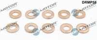 WäRmeschutzscheibe, Einspritzanlage Dr.Motor Automotive DRMP58 FüR
