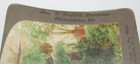 Griffith & Griffith Stereoview Photo White House Conservatory Washington D.C. — photo 4