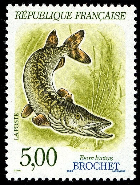 Timbre de 1990 - Poissons d'eau douce Brochet - Esox lucius - N° 2666 - Photo 1/1