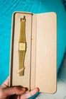 Seiko Dolce Bamboo Vintage 9531-5040 Gold Tone Quartz Men’s Watch New Battery