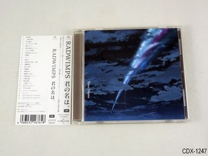 Your Name Radwimps | eBay