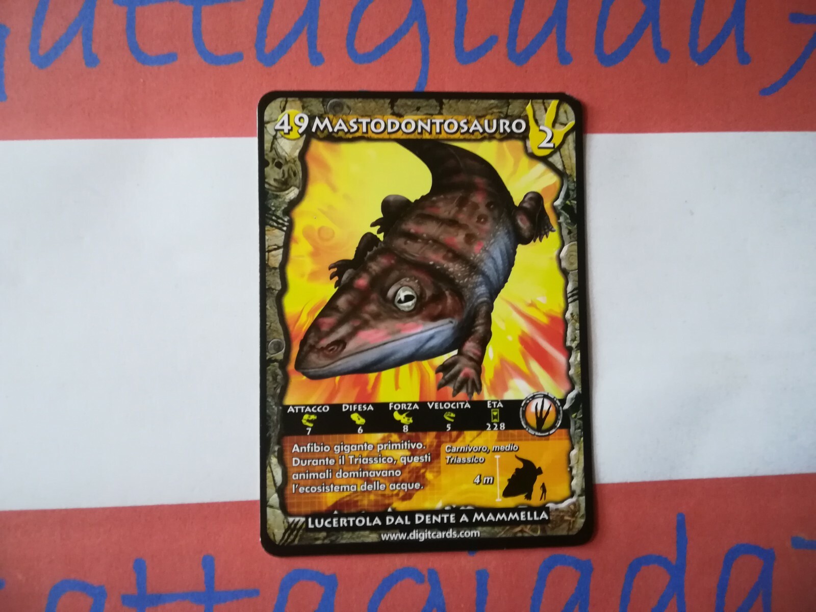 Bild 41 von 56