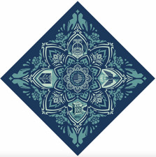 limited edition bandana designed by SHEPARD FAIREY (2020) Artists Band Together