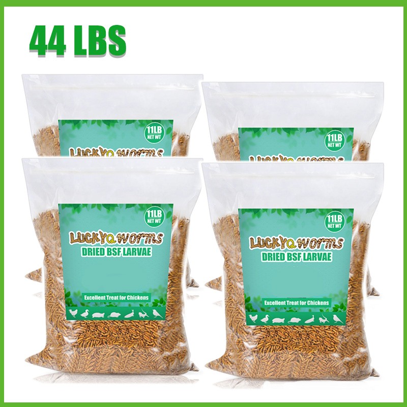 5-44LB Dried Black Soldier Fly Larvae Mealworms for Chicken Birds Treats Premium