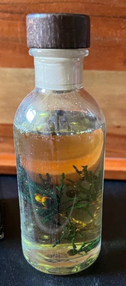 Urban Naturals Holiday Bayberry Reed Diffuser Oil Set - Real Botanicals - NEW - Image 2 of 4