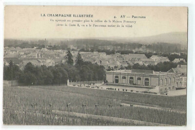 51 AY PANORAMA