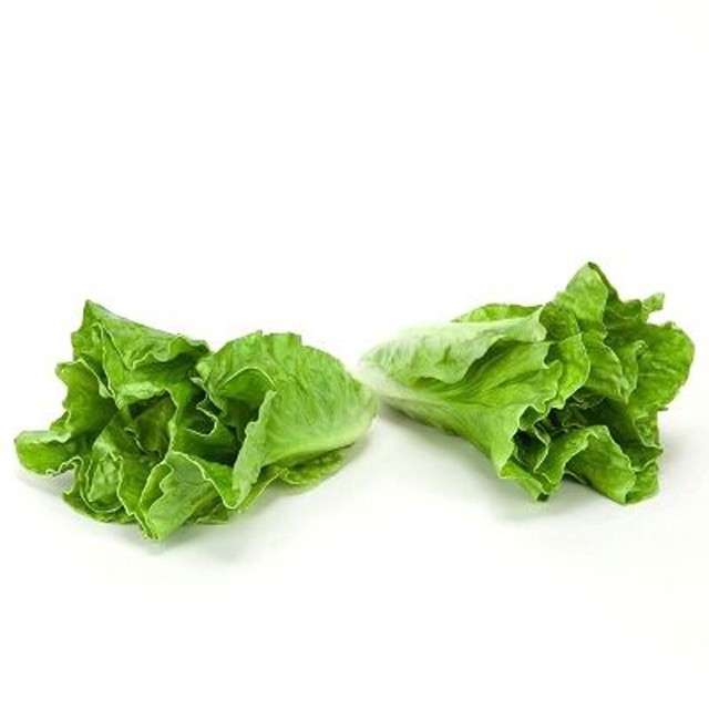 Artificial Large Lettuce Leaf 2 Pack Decorative Fake Vegetable Faux Lettuce eBay