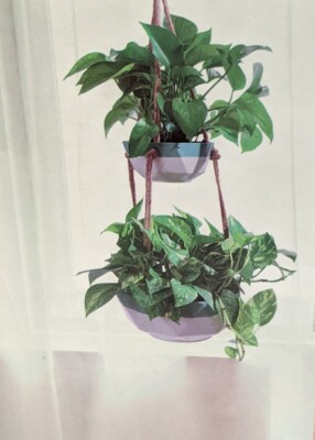 Belavi Double Hanging Planter Natural Ceramic Indoor/ Outdoor W Drainage  Hole | eBay.de