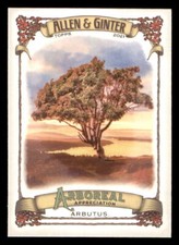 2021 Topps Allen and Ginter Arboreal Appreciation #AA9 Arbutus (ref 224566)