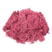 4.6Oz Konserviertes Rentier Moos, Dunkelrosa, Kunstmoos FüR Deko & Basteln