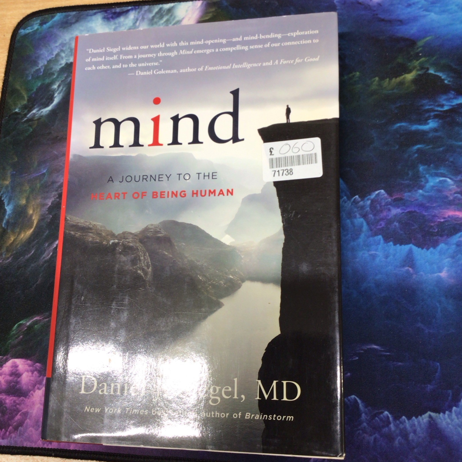 Mind: A Journey to the Heart of Being Human (Norton Serie... by Daniel J. Siegel
